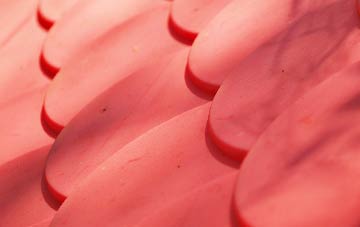 Chelvey plastic roof costs