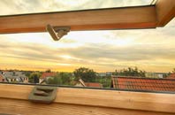 rated Chelvey roof window companies